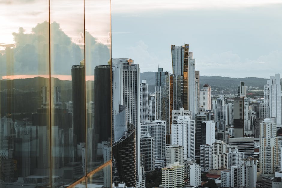 How Regulators Assess a Crypto Licence Application